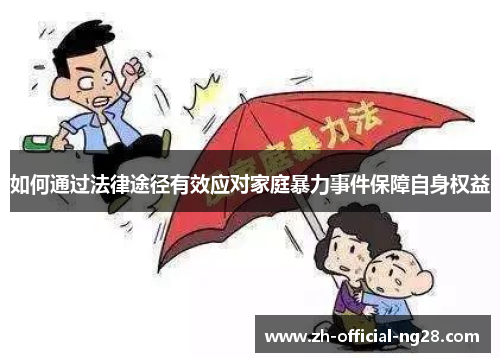 如何通过法律途径有效应对家庭暴力事件保障自身权益