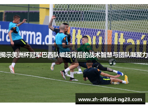 揭示美洲杯冠军巴西队崛起背后的战术智慧与团队凝聚力