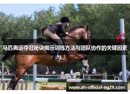 马匹奥运夺冠秘诀揭示训练方法与团队协作的关键因素