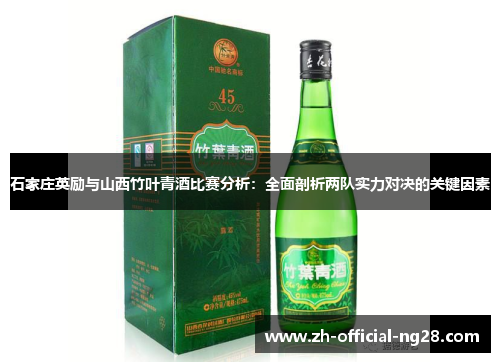 石家庄英励与山西竹叶青酒比赛分析：全面剖析两队实力对决的关键因素