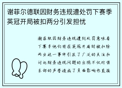 谢菲尔德联因财务违规遭处罚下赛季英冠开局被扣两分引发担忧