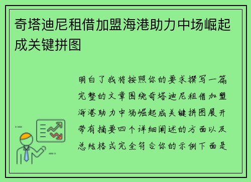 奇塔迪尼租借加盟海港助力中场崛起成关键拼图
